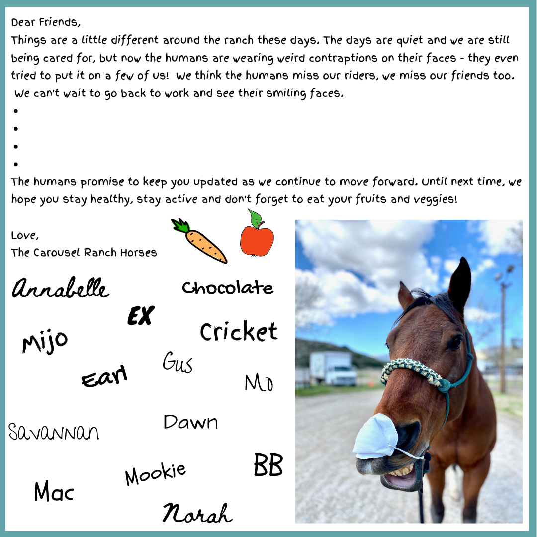 how-are-you-a-letter-from-our-horses-carousel-ranch-equestrian